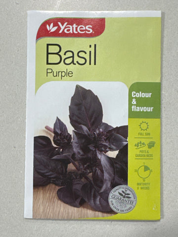 Basil Purple