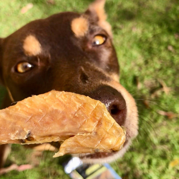 *Flap Ya Wings - Chicken Wing Bites: 100g