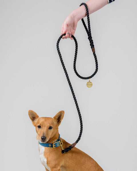 *Rope Dog Leash - Black