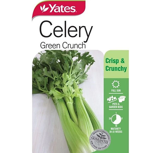 Celery Green Crunch