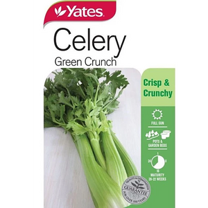 Celery Green Crunch