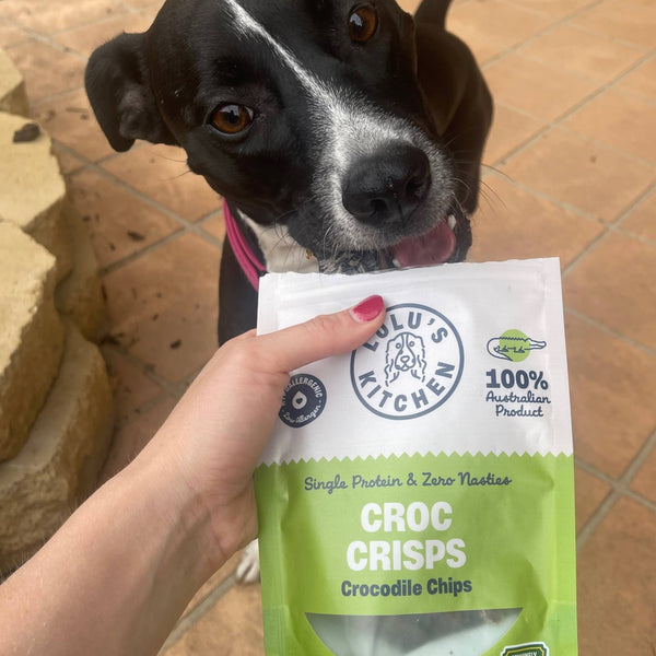 *Croc Crisps - Crocodile Chips - New