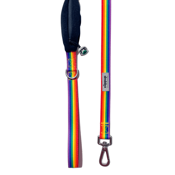 *Rainbow Dog Leash with Built-in Poop Bag Holder