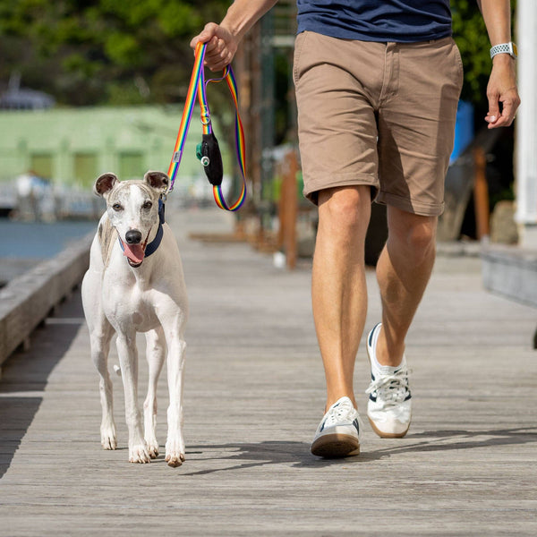 *Rainbow Dog Leash with Built-in Poop Bag Holder
