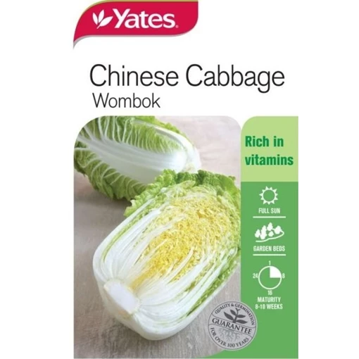 Chinese Wombok Cabbage