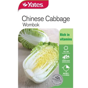 Chinese Wombok Cabbage