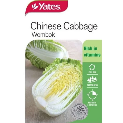 Chinese Wombok Cabbage