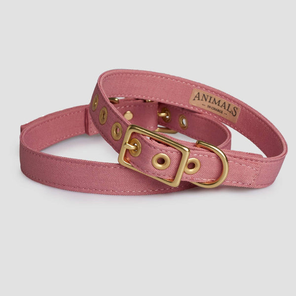 *Recycled Canvas Dog Collar - Dusty Pink: Medium