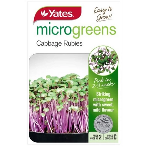 Microgreens Cabbage Rubies Red