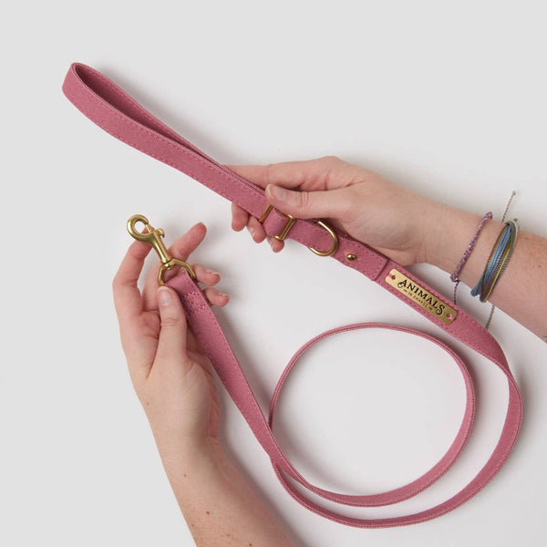 *Organic Canvas Dog Leash - Dusty Pink