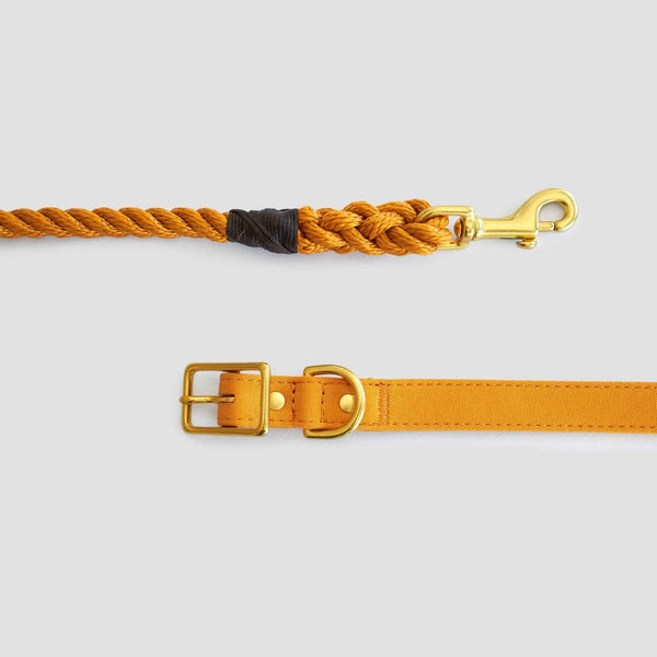 *Recycled Canvas Dog Collar - Harvest Yellow: Small