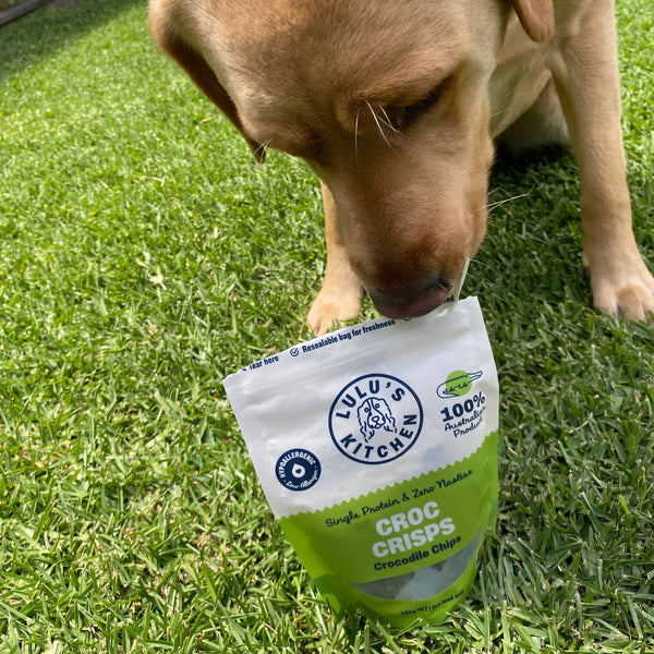 *Croc Crisps - Crocodile Chips - New