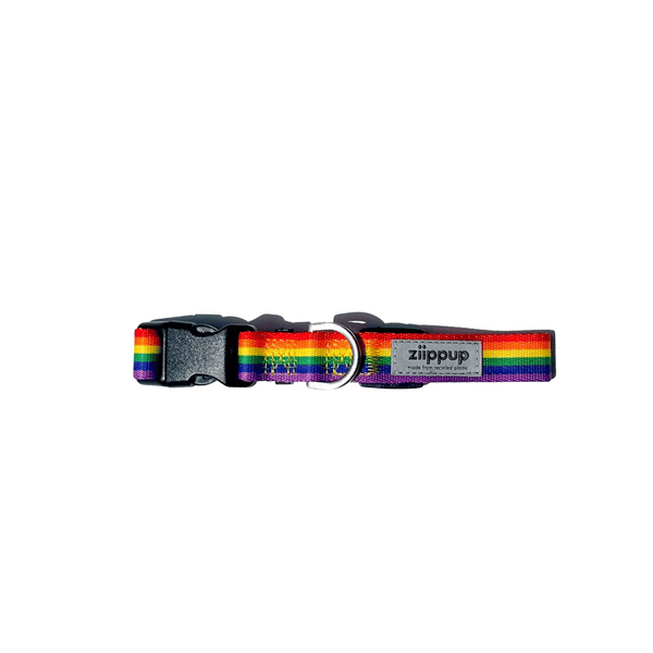 *Rainbow Recycled Dog Collar: Large