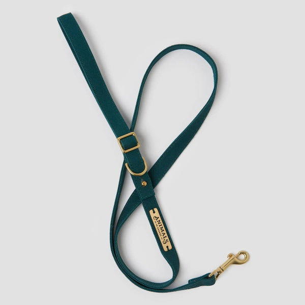 *Organic Canvas Dog Leash - Forest Green