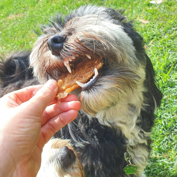 *Roast Chicken Dinner - Chicken Breast Jerky: 100g