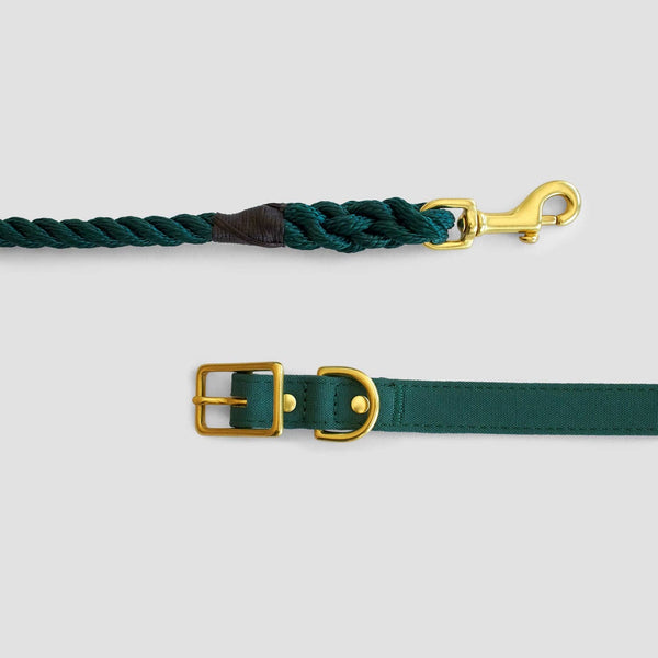 *Recycled Canvas Dog Collar - Forest Green: Large