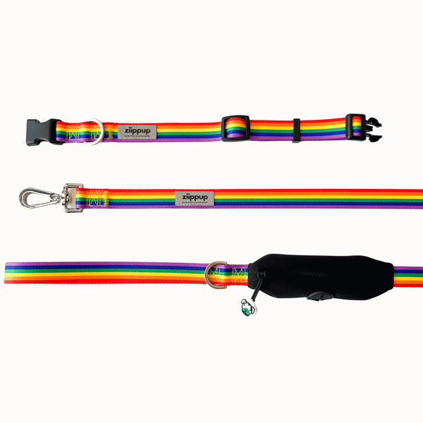 *Rainbow Recycled Dog Collar: Small