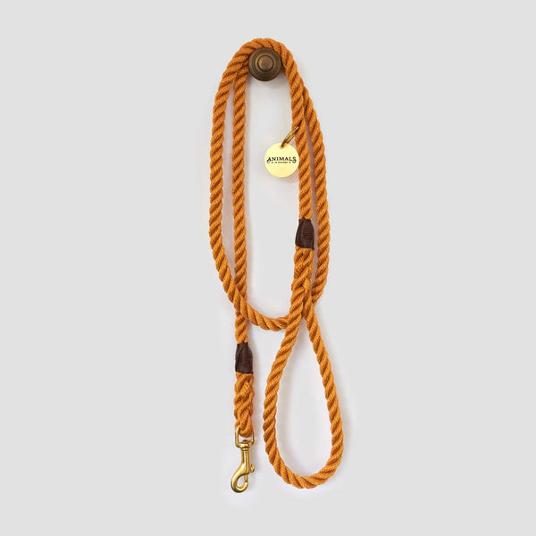 *Rope Dog Leash - Harvest Yellow