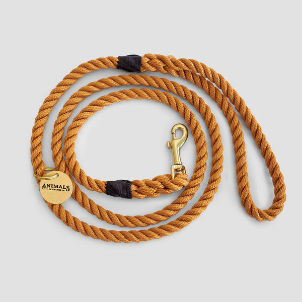 *Rope Dog Leash - Harvest Yellow