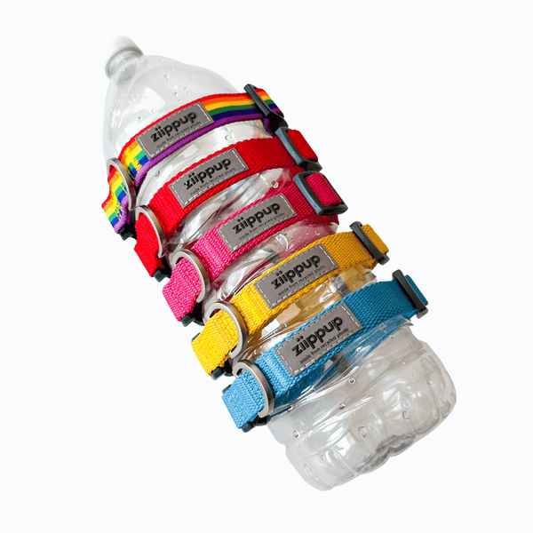 *Rainbow Recycled Dog Collar: Large