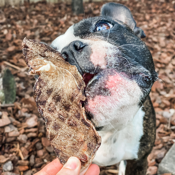 *Go Bonkers - Venison Jerky: 100g