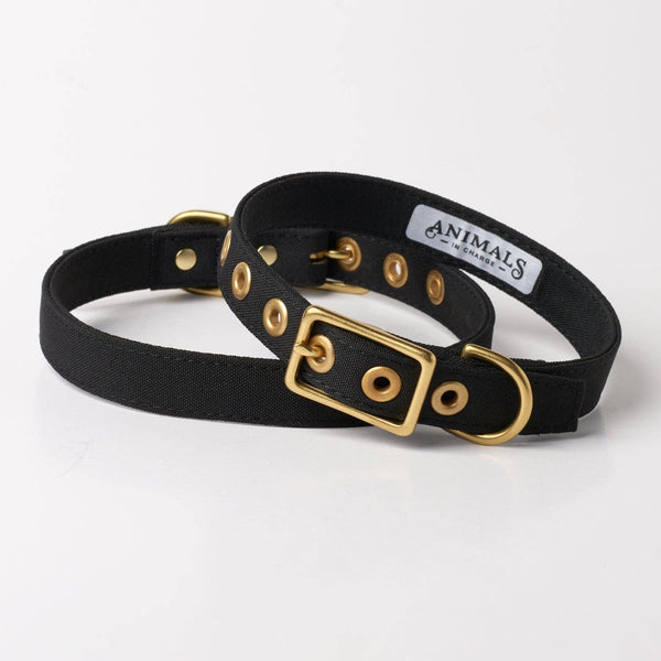 *Recycled Canvas Dog Collar - Black: Medium