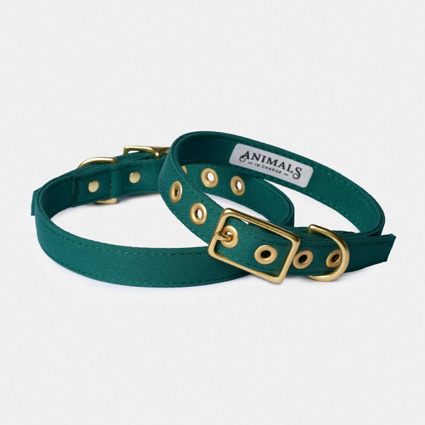 *Recycled Canvas Dog Collar - Forest Green: Small