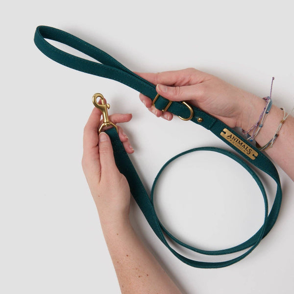 *Organic Canvas Dog Leash - Forest Green
