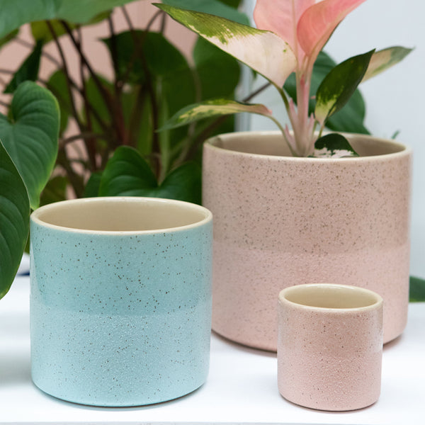 Capri Planter Blush