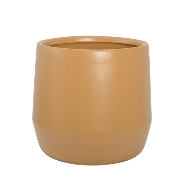 Juno Planter Mustard