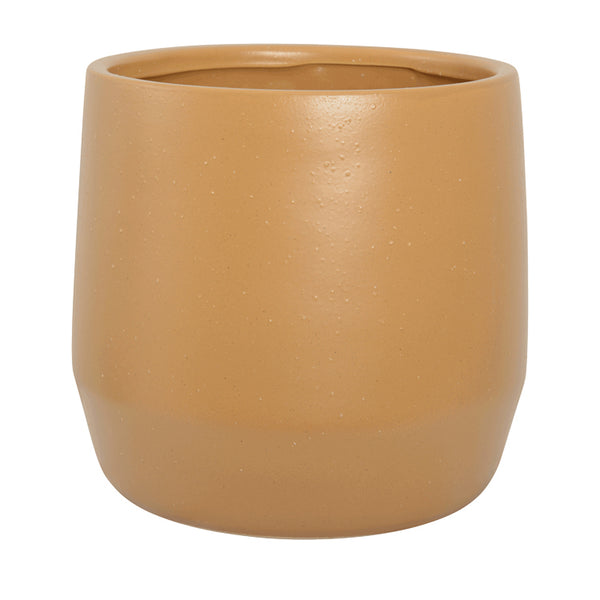 Juno Planter Mustard