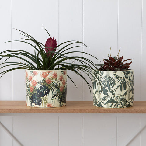 Tropic Pots