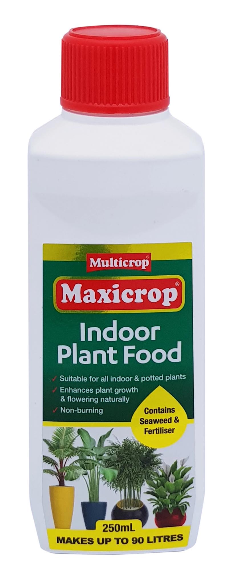 maxicrop indoor plant food Maxicrop Indoor Plant Food 250ml