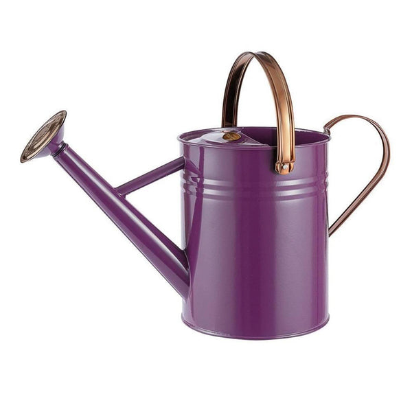 Classic Watering Can 4.5Lt