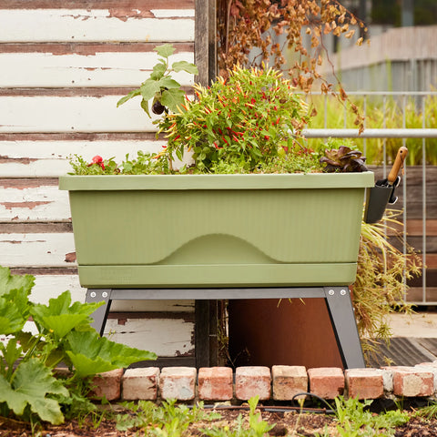 Backyard Farmer Georgie Self-Watering Planter