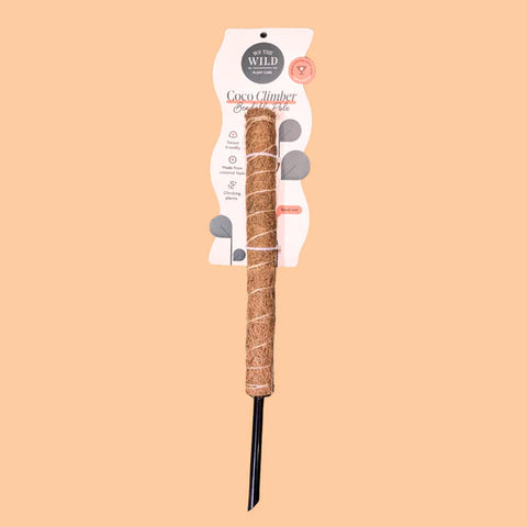 We The Wild Coco Climber 40cm