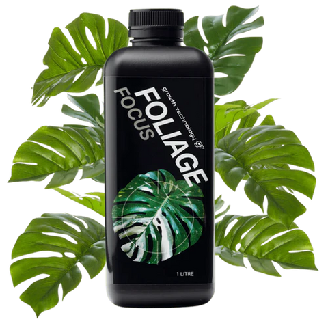 GT Foliage Focus