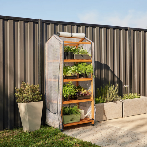 Backyard Farmer 4 Shelf Timber Greenhouse