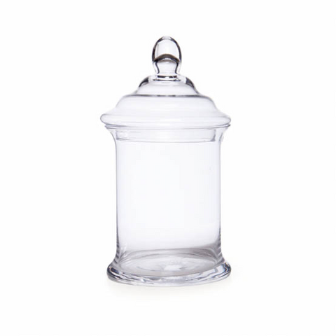 Glass Candy Jar Terrarium