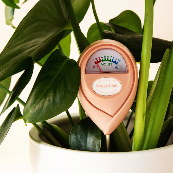 Jungle Club Moisture Meter- Pink