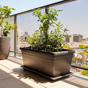 Northcote Pottery 80cm Planter Box