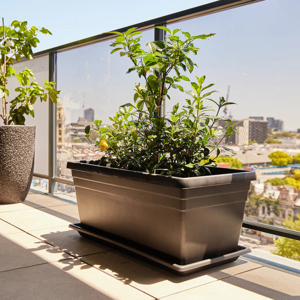 Northcote Pottery 80cm Planter Box