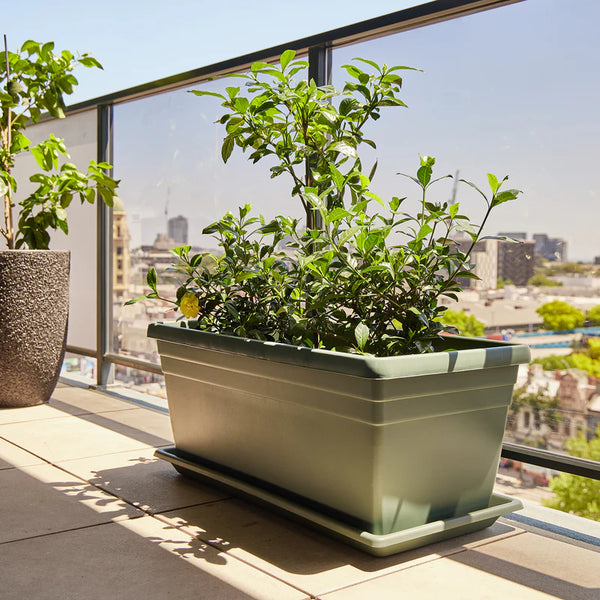 Northcote Pottery 80cm Planter Box