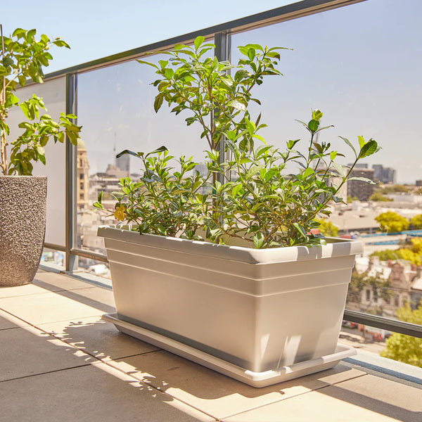 Northcote Pottery 80cm Planter Box