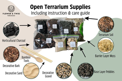 TerraPro DIY Terrarium Kit