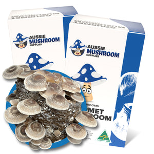 Aussie Mushroom Kit