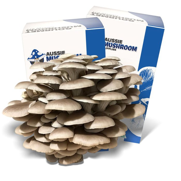 Aussie Mushroom Kit