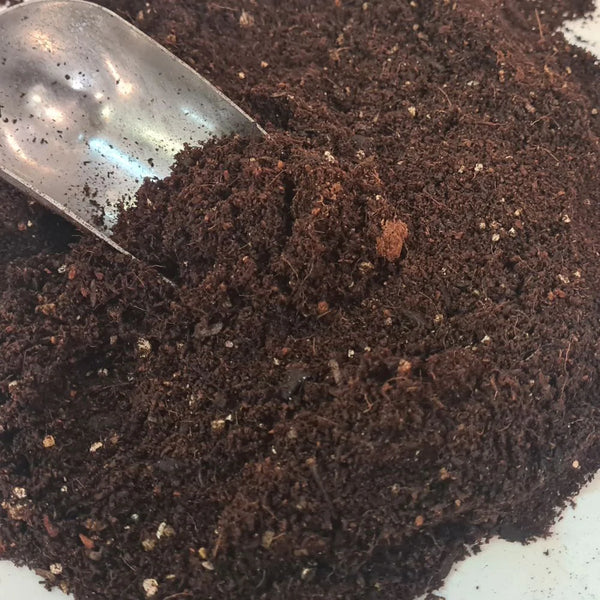 TerraPro Terrarium Mix 2.5L