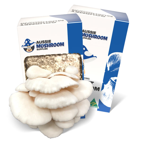 Aussie Mushroom Kit