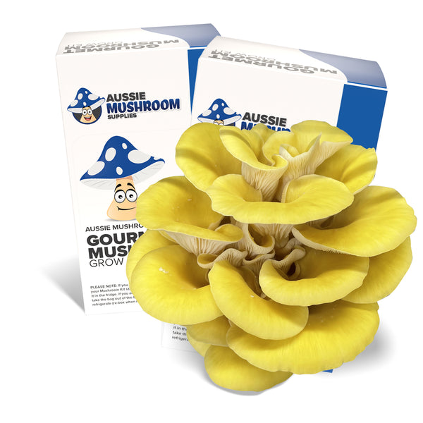 Aussie Mushroom Kit